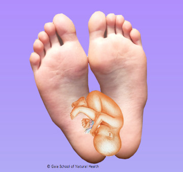 maternity